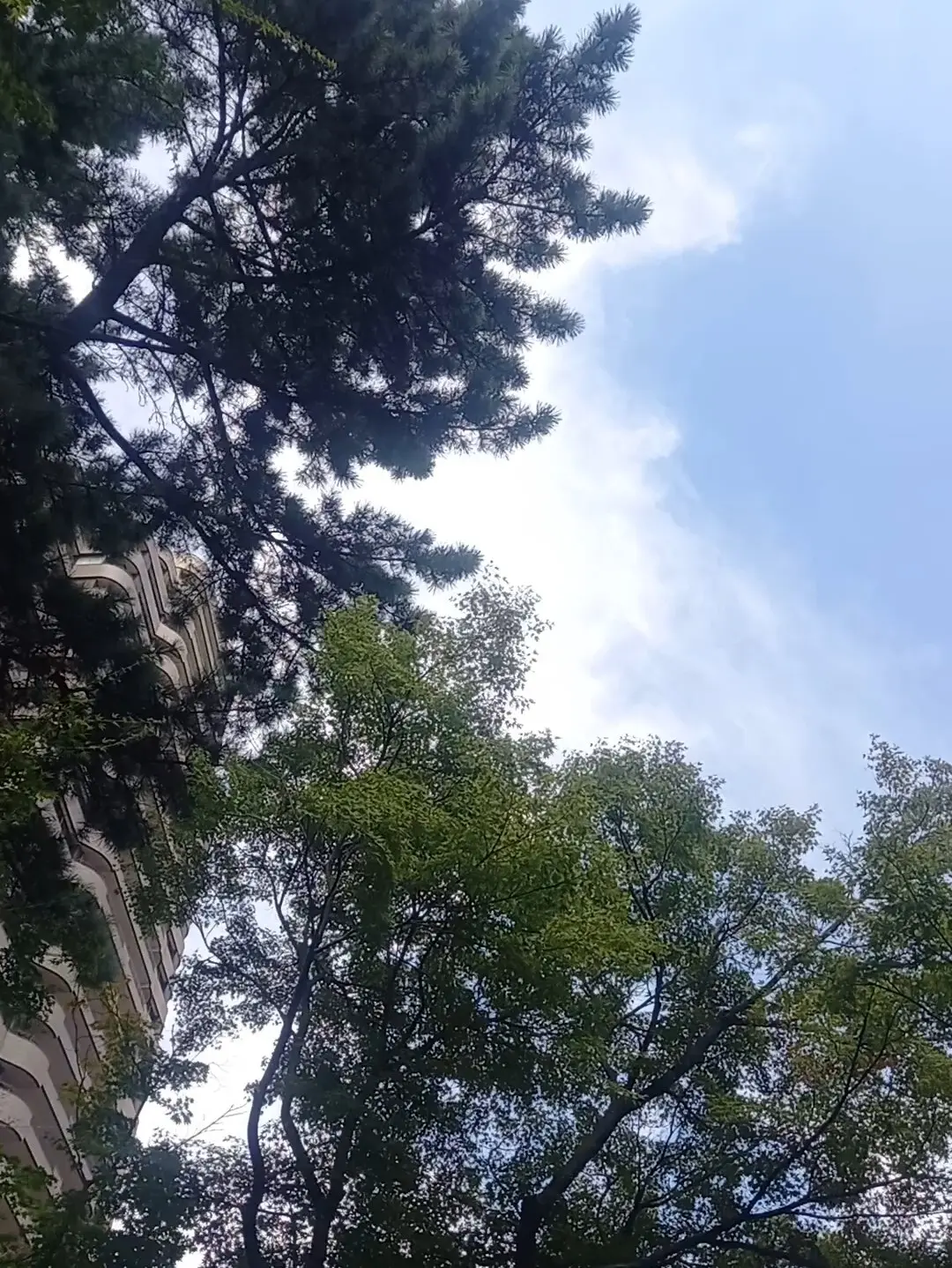 まだまだ大活躍♡ユニクロのリブブラトップの画像_7