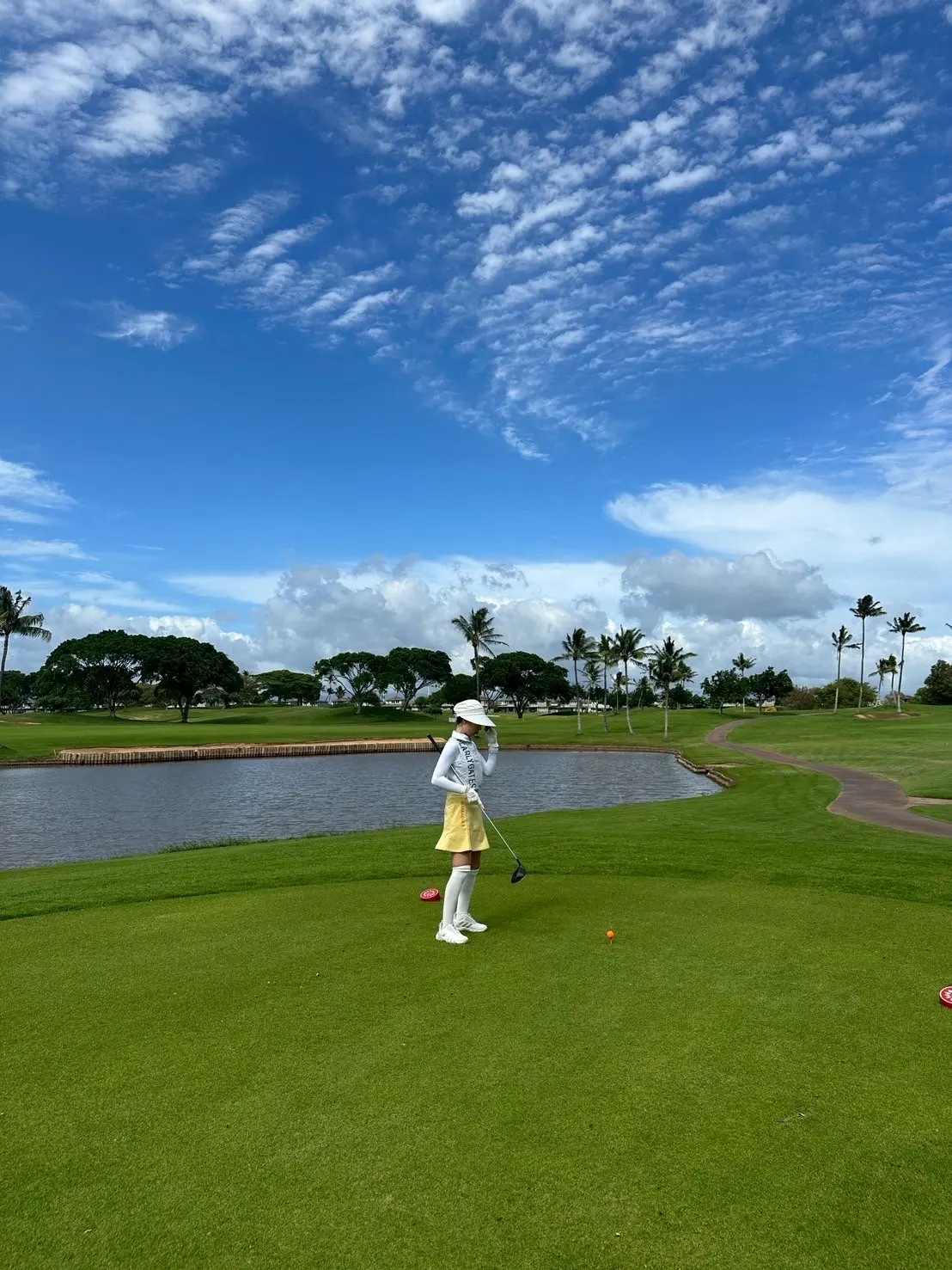 ハワイでのアクティビティの画像_6