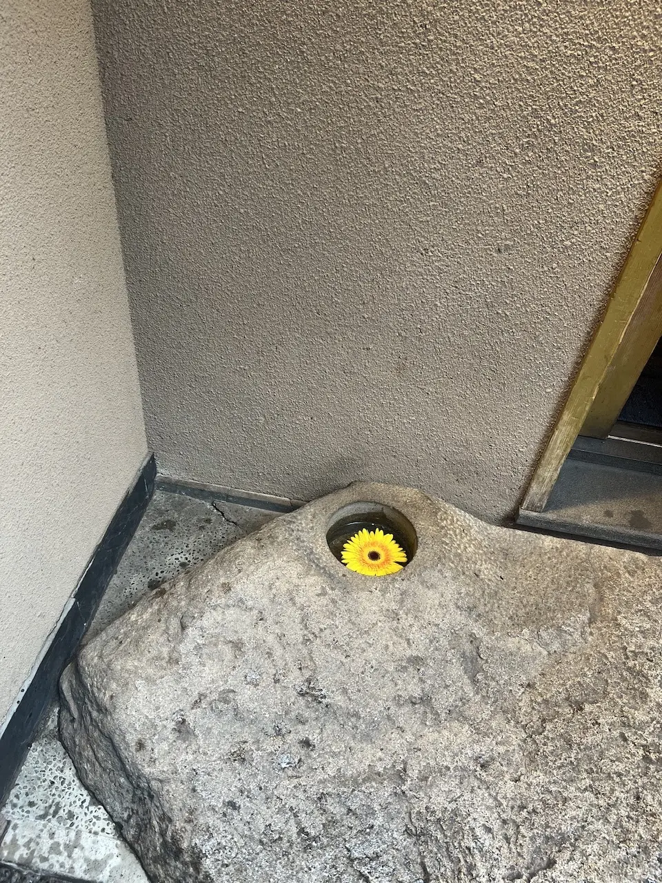 並んでも食べたい♪ぜいたく丼の画像_11