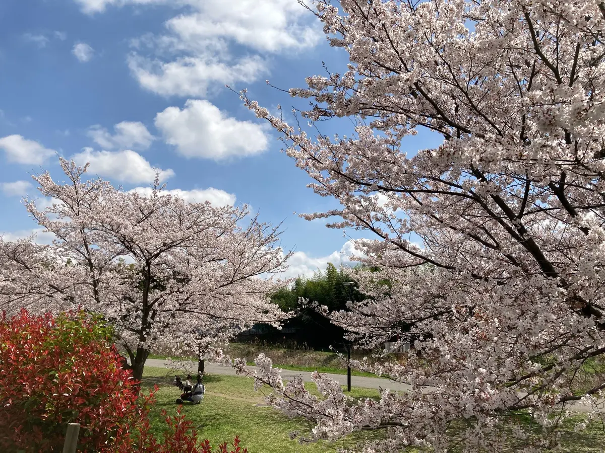 春の揺れスカートの画像_5