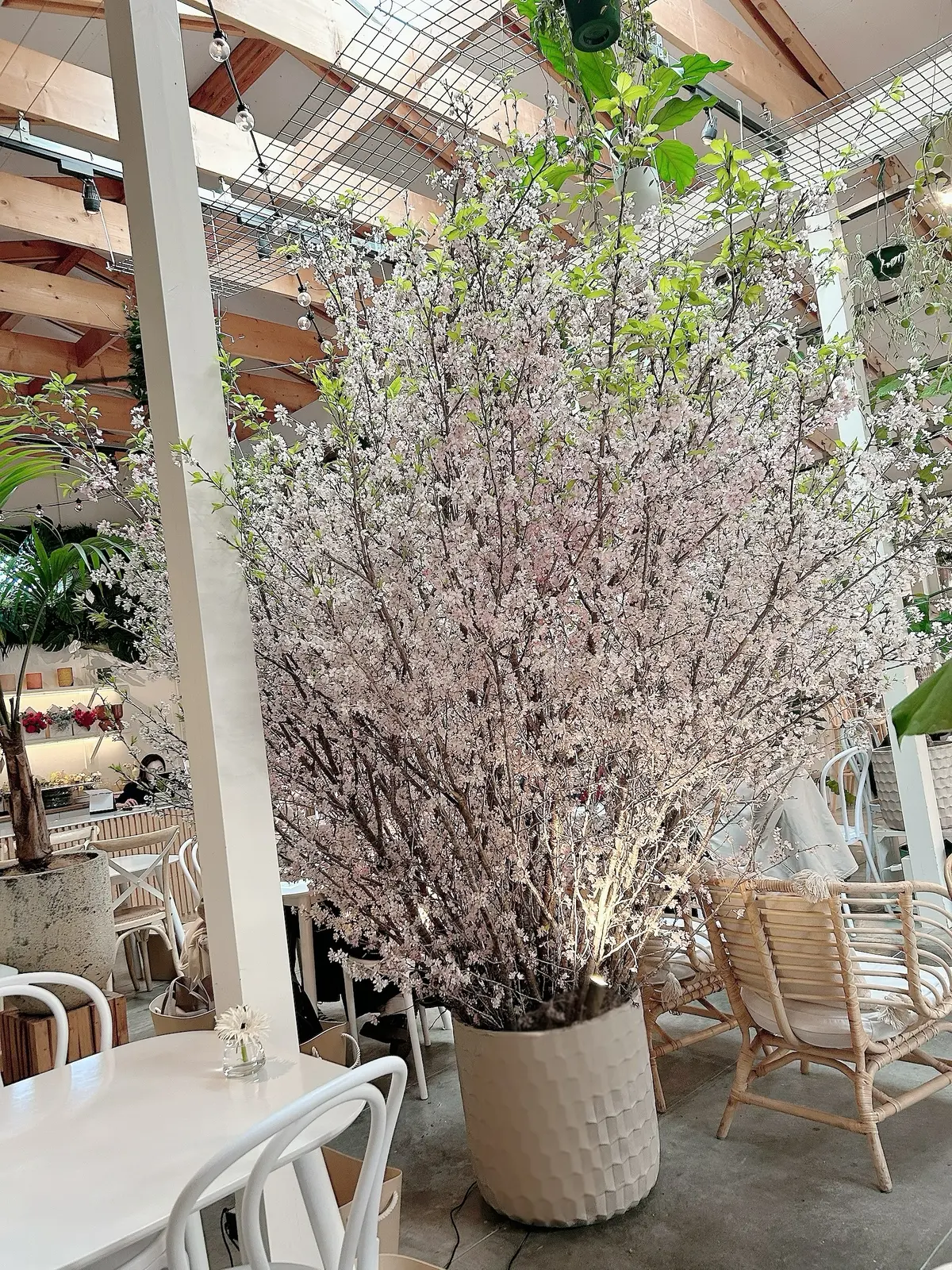 ユニクロ神デニム！！納得のシルエット！の画像_10