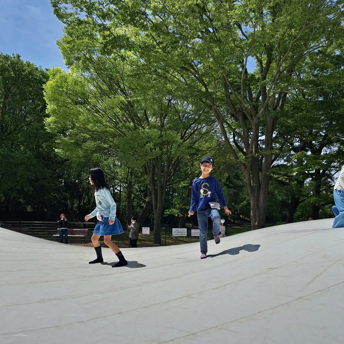 一度は見たい絶景～ひたち海浜公園のネモフの画像_3