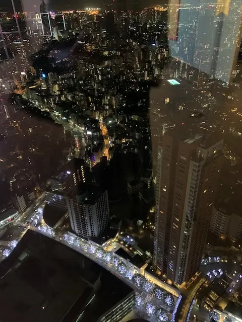 イルミネーションをもっと上から・・・。の画像_2