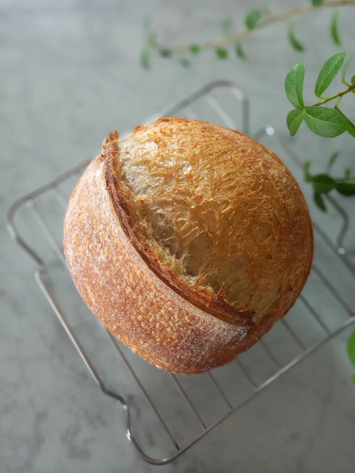 免疫力アップ♡冬のほっこりあったかスープの画像_4