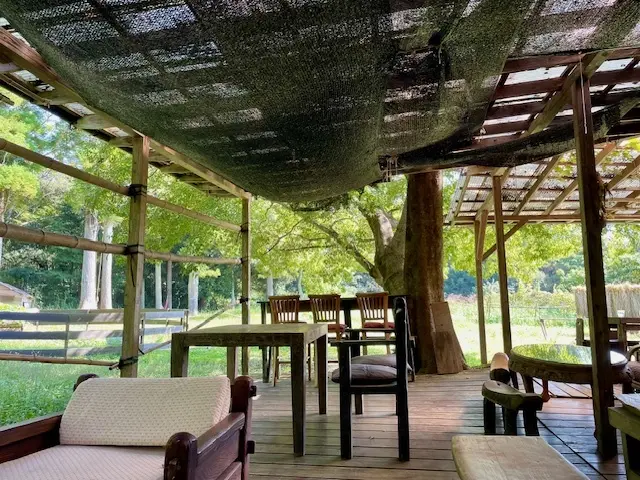 ゆっくりと時間が流れる癒やしのカフェへ♡の画像_3