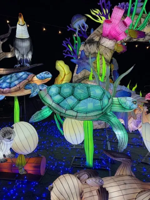 ドイツ村のウィンターイルミネーション素敵の画像_5