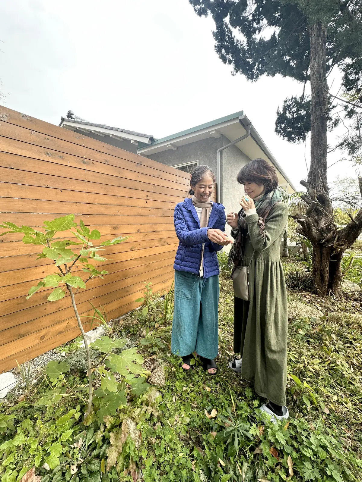 アーユルヴェーダリトリートin AWAJの画像_7