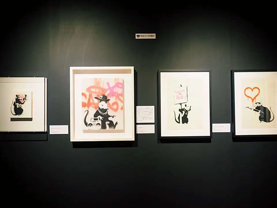 春の新作ZARAワンピで、バンクシーっての画像_3