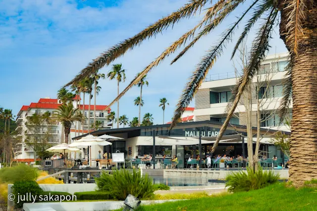 【さかほんの冒険】南国Hawaii？！❤の画像_9