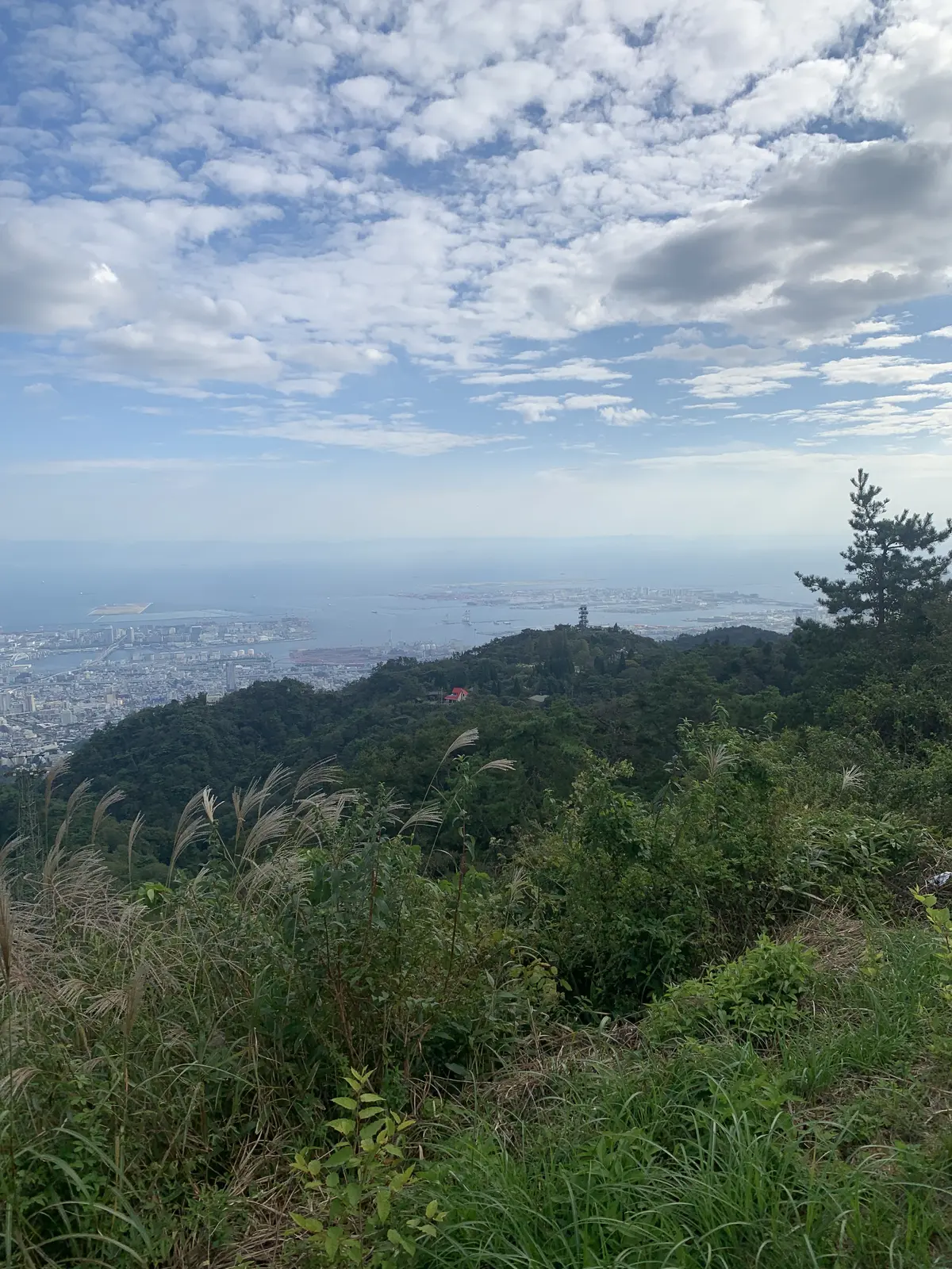 【ハロウィン/カボチャ】Zucca FIの画像_16