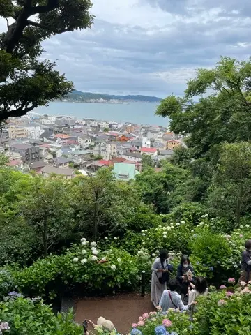 リアルタイムでお伝えする、鎌倉長谷寺あじの画像_11