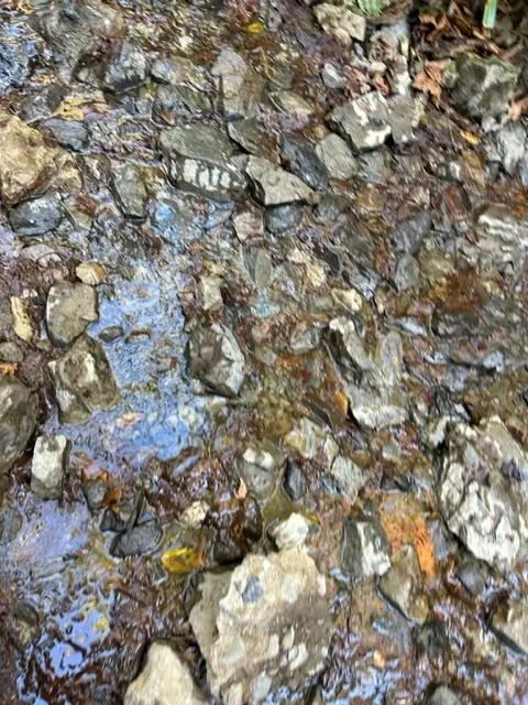 世界一の登山者数を誇る「高尾山」登山☆の画像_6