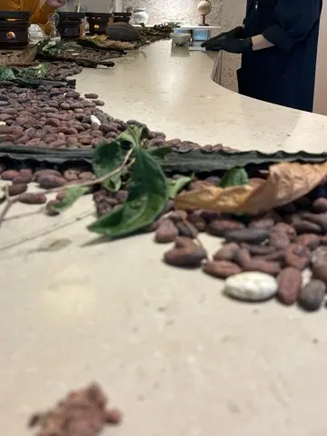 チョコレートだけじゃない！奥深いカカオのの画像_6