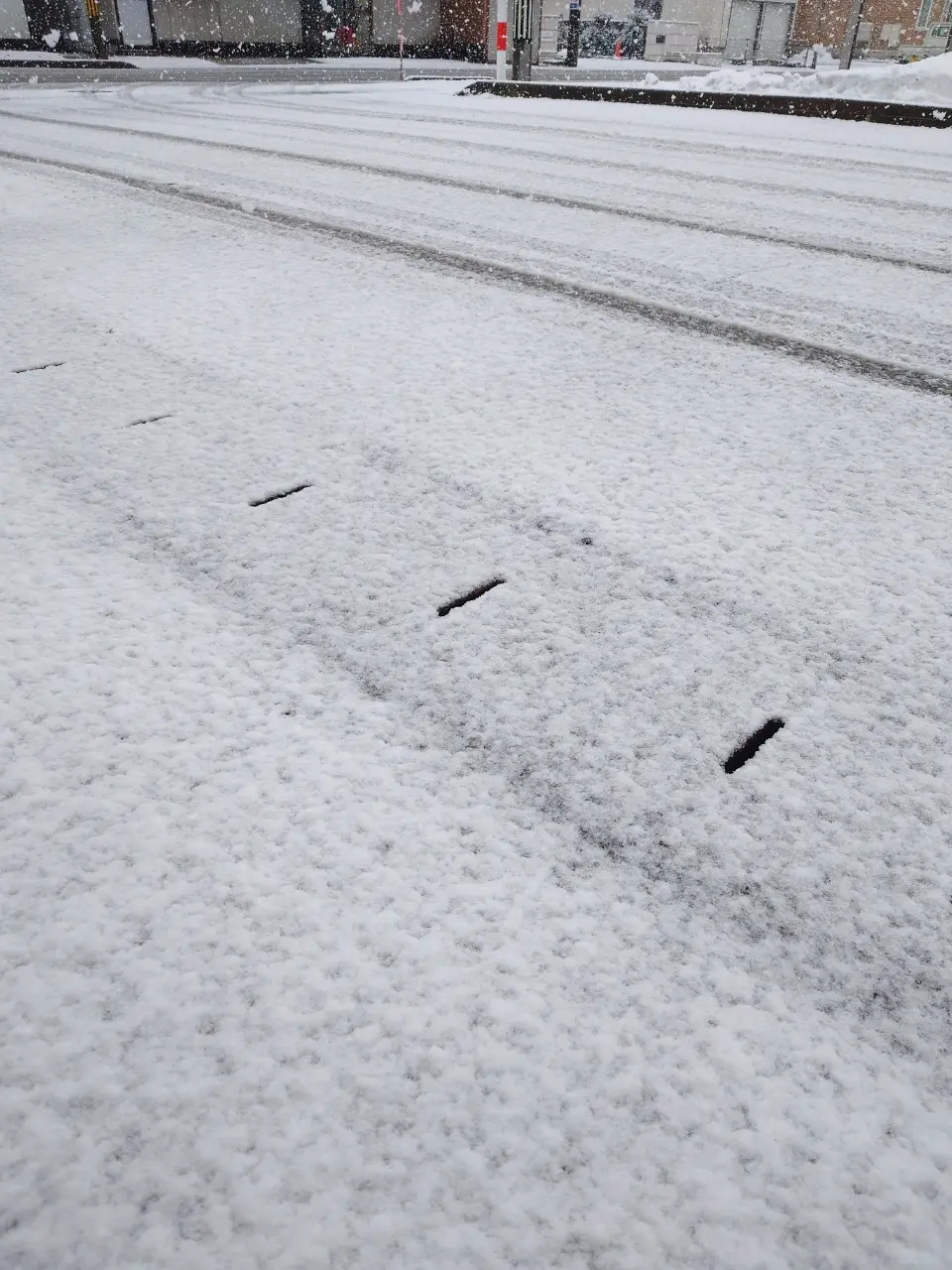 くら吉と西宮家の日の雪道