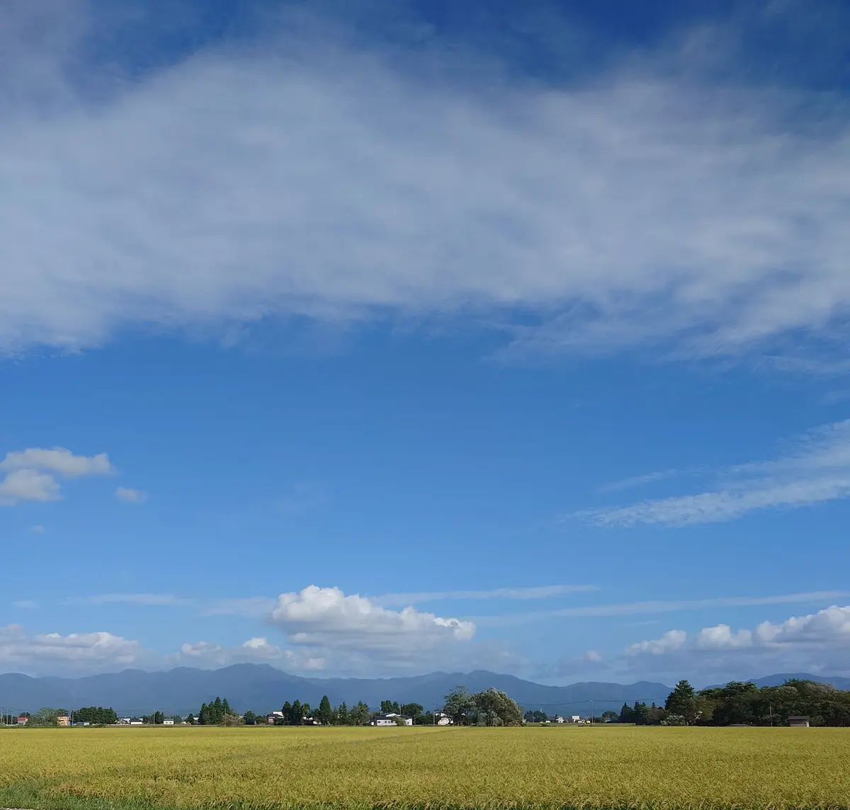 ドライブの田舎風景①