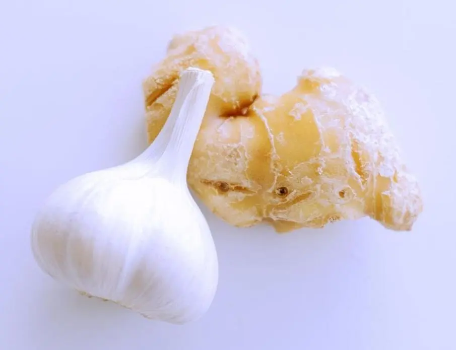 OurAge×Webエクラ　にんにく