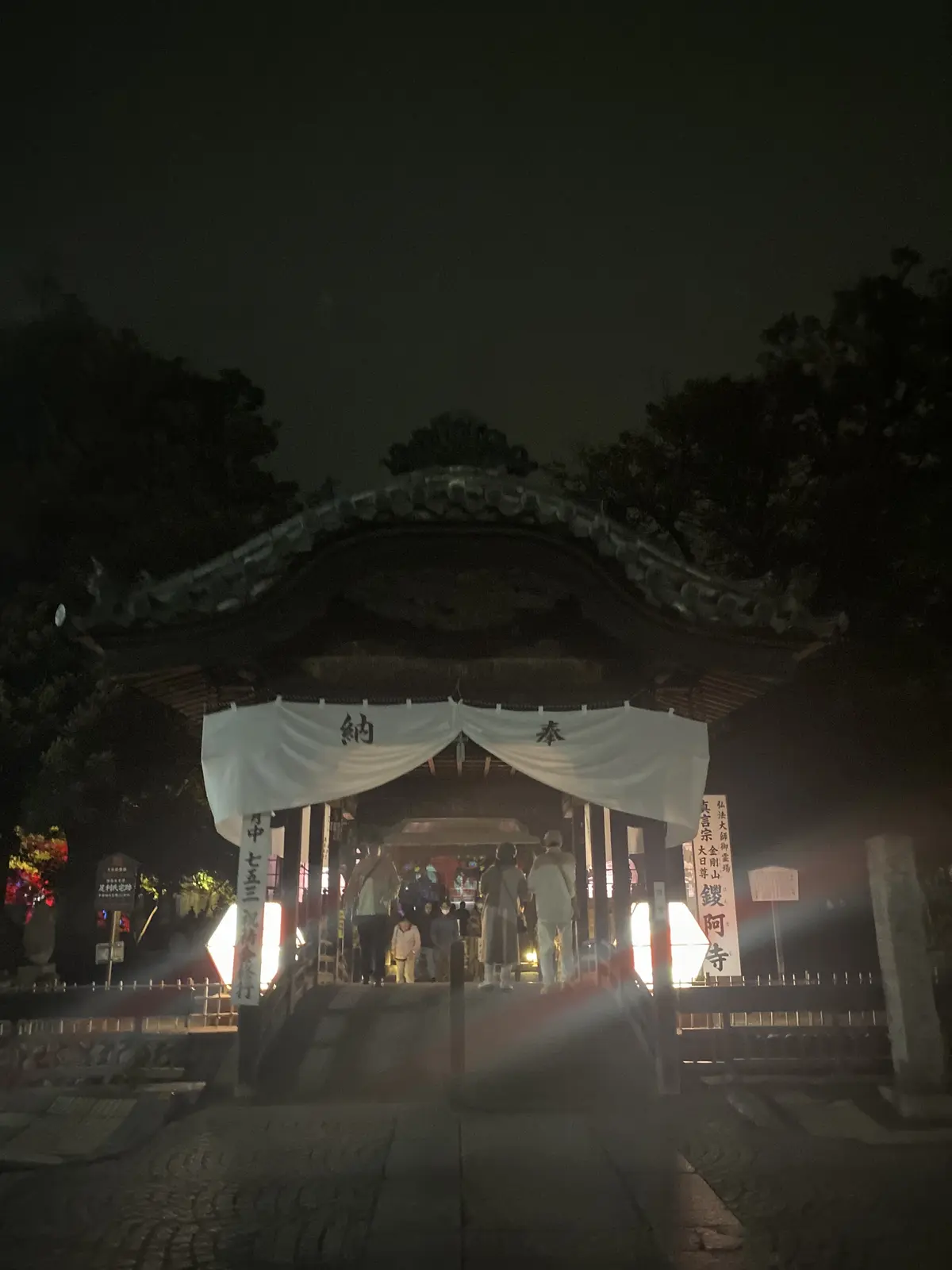 幻想的な光の祭典の画像_2