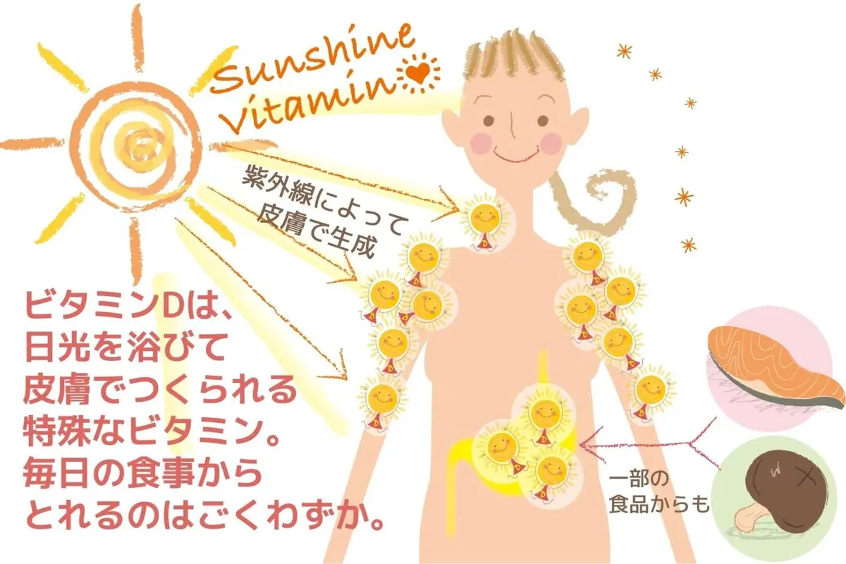 OurAge×Webエクラ　ビタミンD