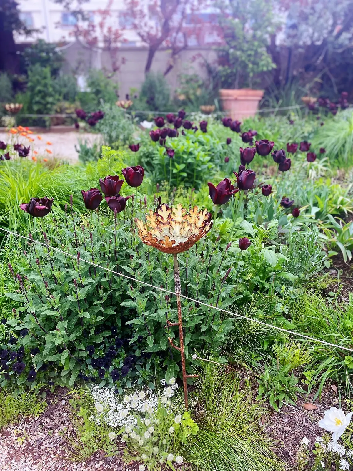 日常を忘れる小笠原伯爵亭でのランチの画像_13