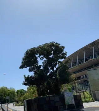 新緑の季節の画像_6