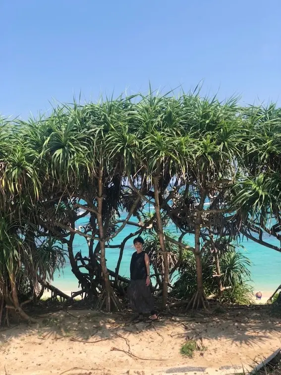 夏の終わりに奄美大島へ行ってきましたの画像_2