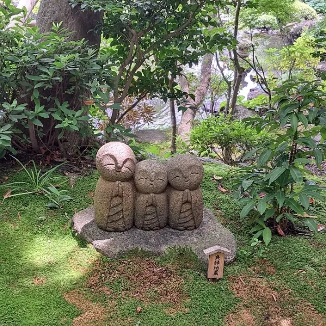 久しぶりの鎌倉 紫陽花鑑賞はお気に入りのの画像_2