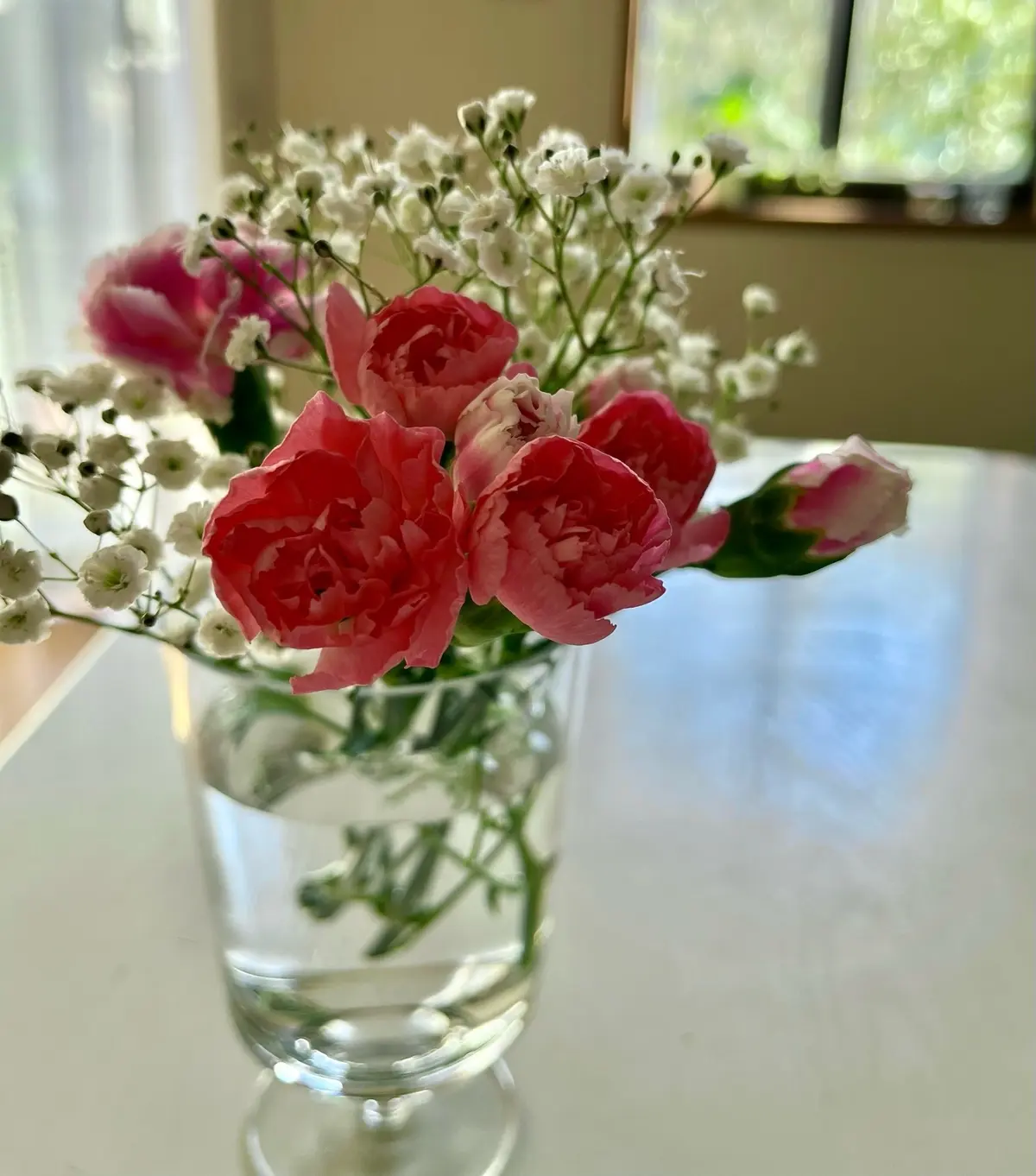 カーネーションと霞草