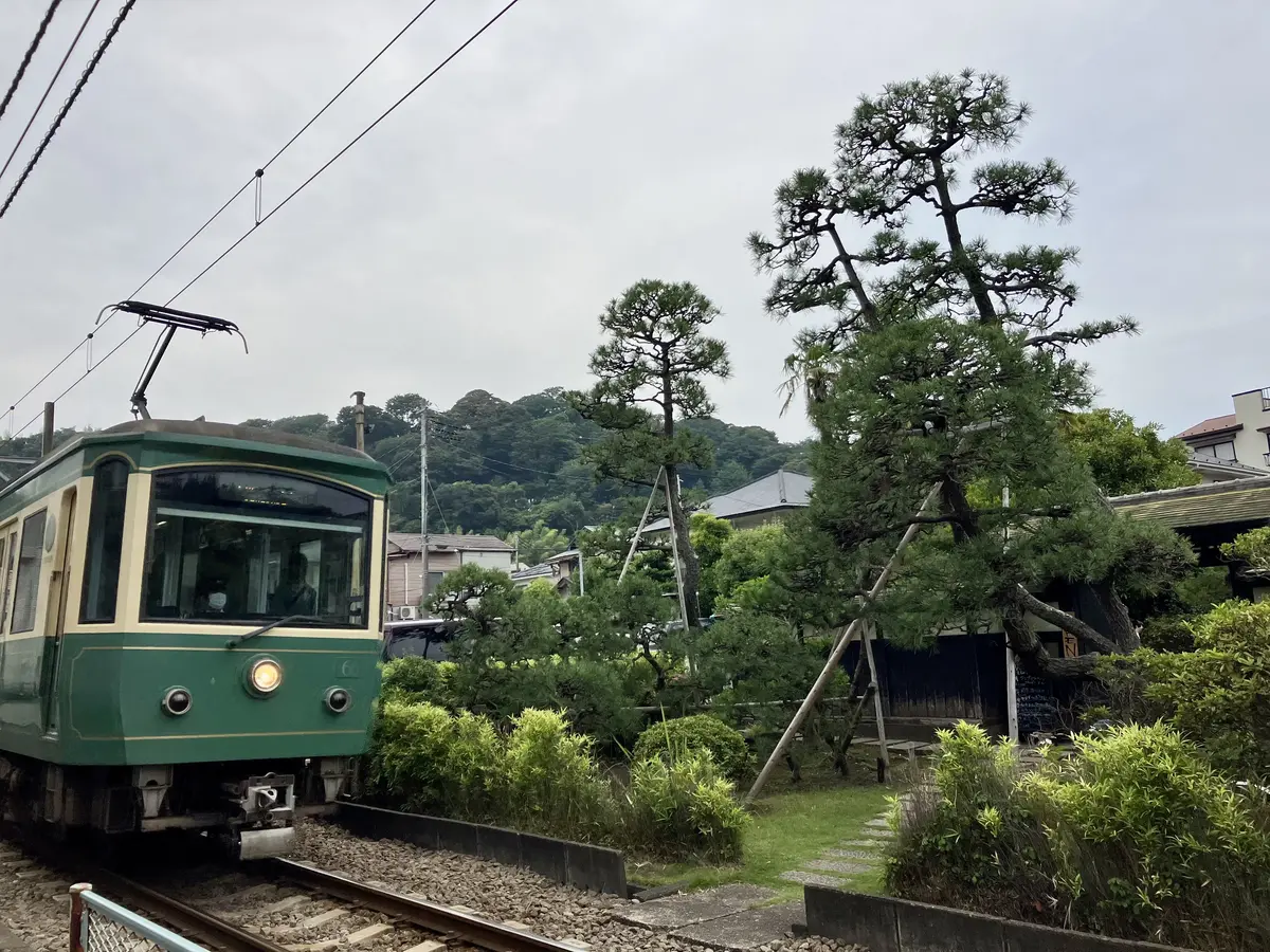 鎌倉紫陽花ツアーへの画像_14