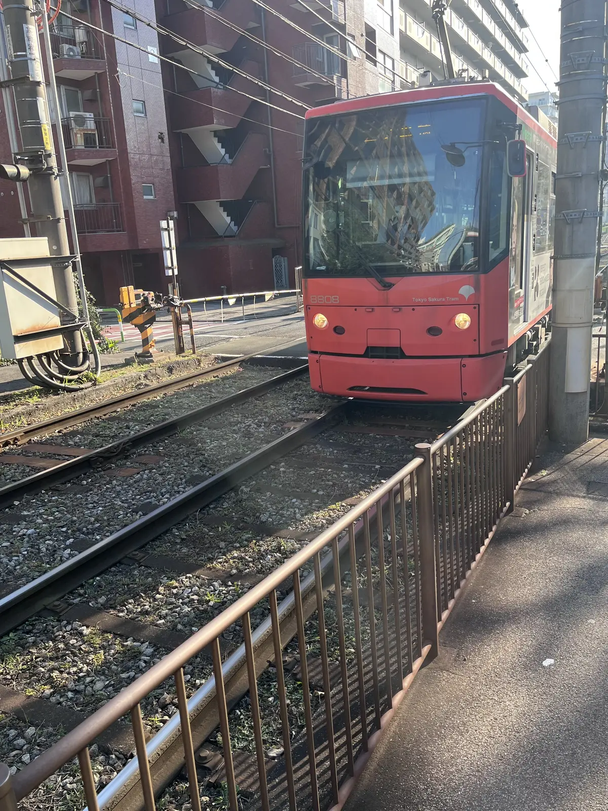 らくらくスニーカーで目白界隈1人散歩の画像_13