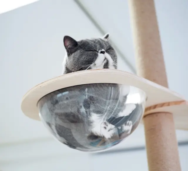 温泉につかるかのようなこの表情。頭の形が完全におはぎ