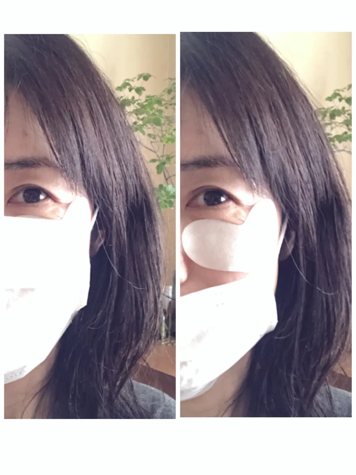 ウィズマスクポイントパック