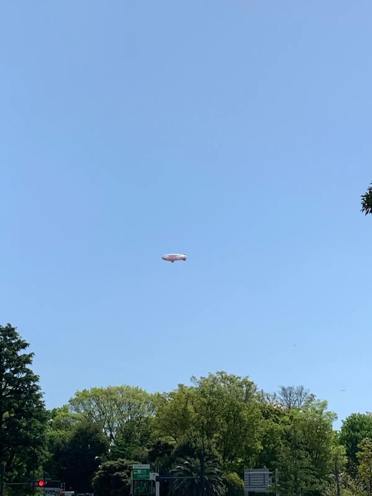 新緑の季節の画像_7