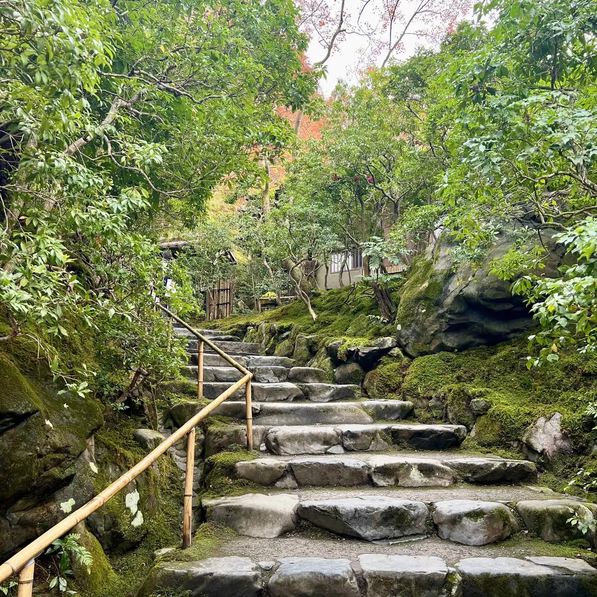 秋の景色を楽しむ♡京都の紅葉の画像_2