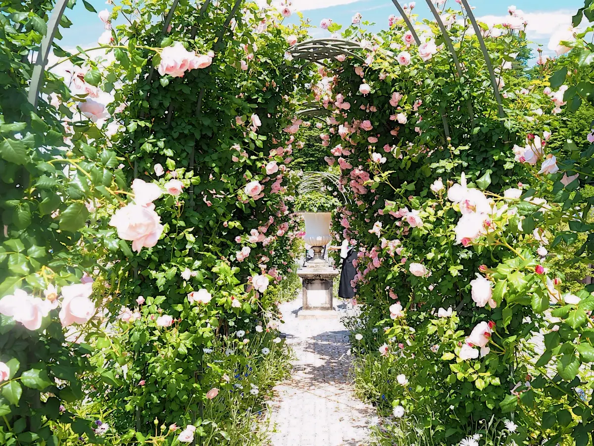 【ZARA、ユニクロ】大人のプチプラMIの画像_5