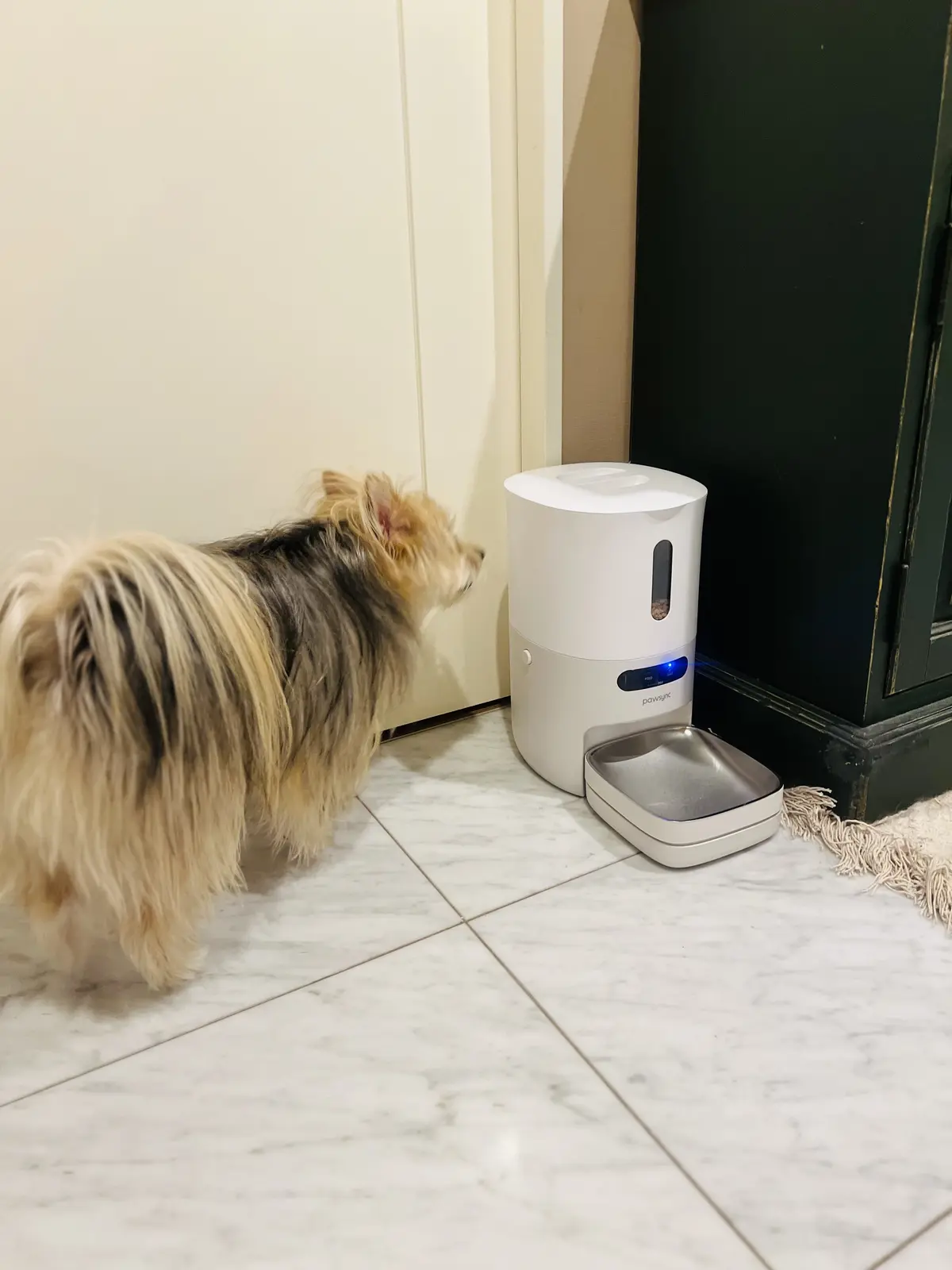 ペット自動給餌器PAWSYNC