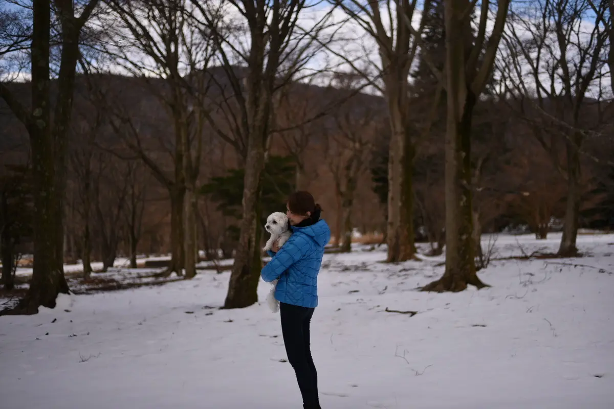ヘルシー簡単美味な蒸篭に夢中🎵の画像_12
