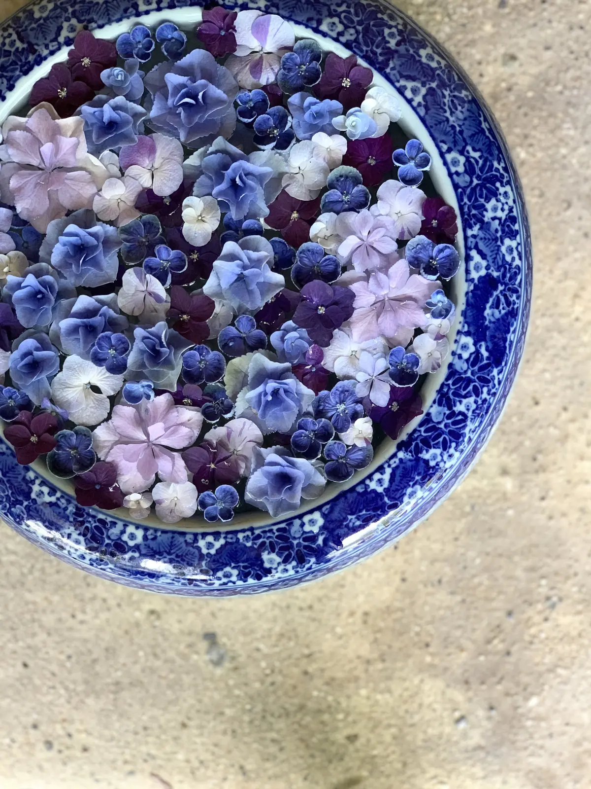 一条恵観山荘（いちじょうえかんさんそう）あじさい寺　鎌倉アジサイ