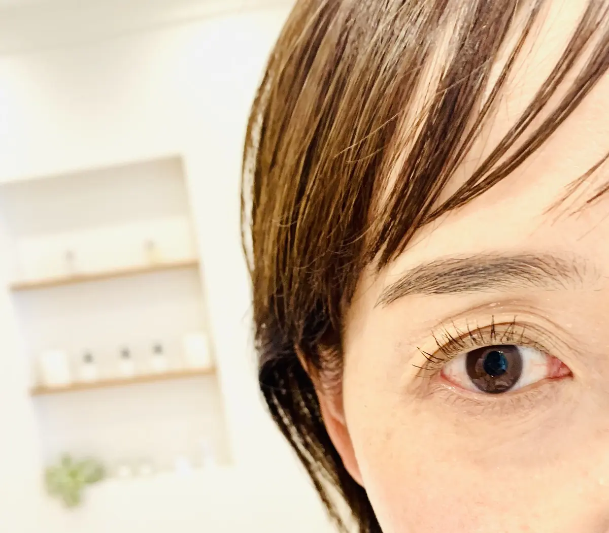 ラッシュリフト施術後の女性の目のアップ写真