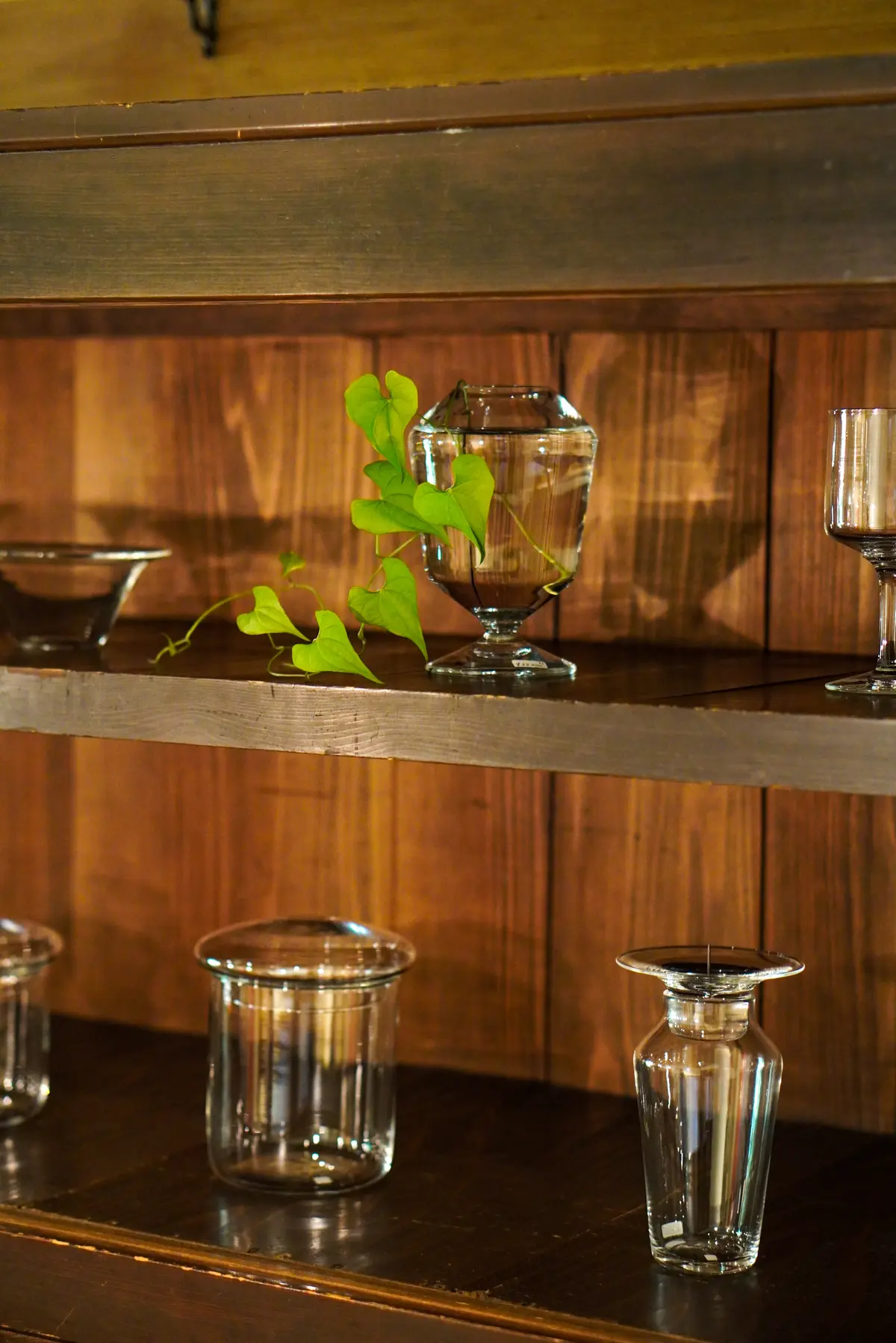 鎌倉佐助エリアで器巡り&冷んやり大人スイの画像_7