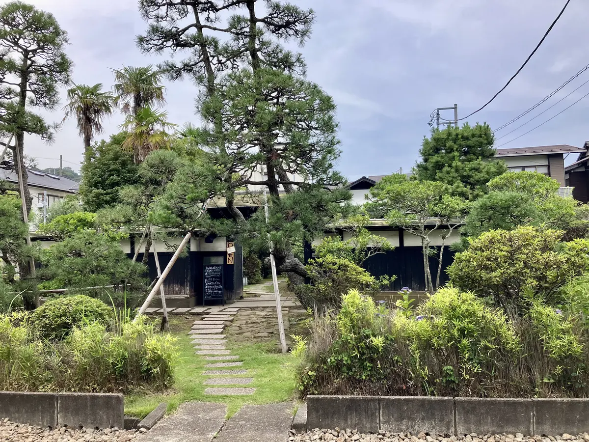 鎌倉紫陽花ツアーへの画像_13