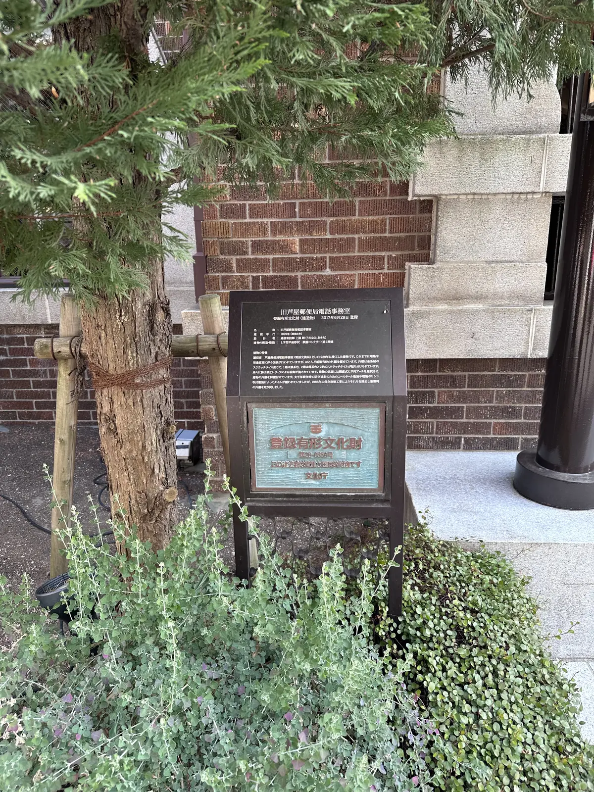 初めましての華組の倉爪佐和さんが関西へ帰の画像_3