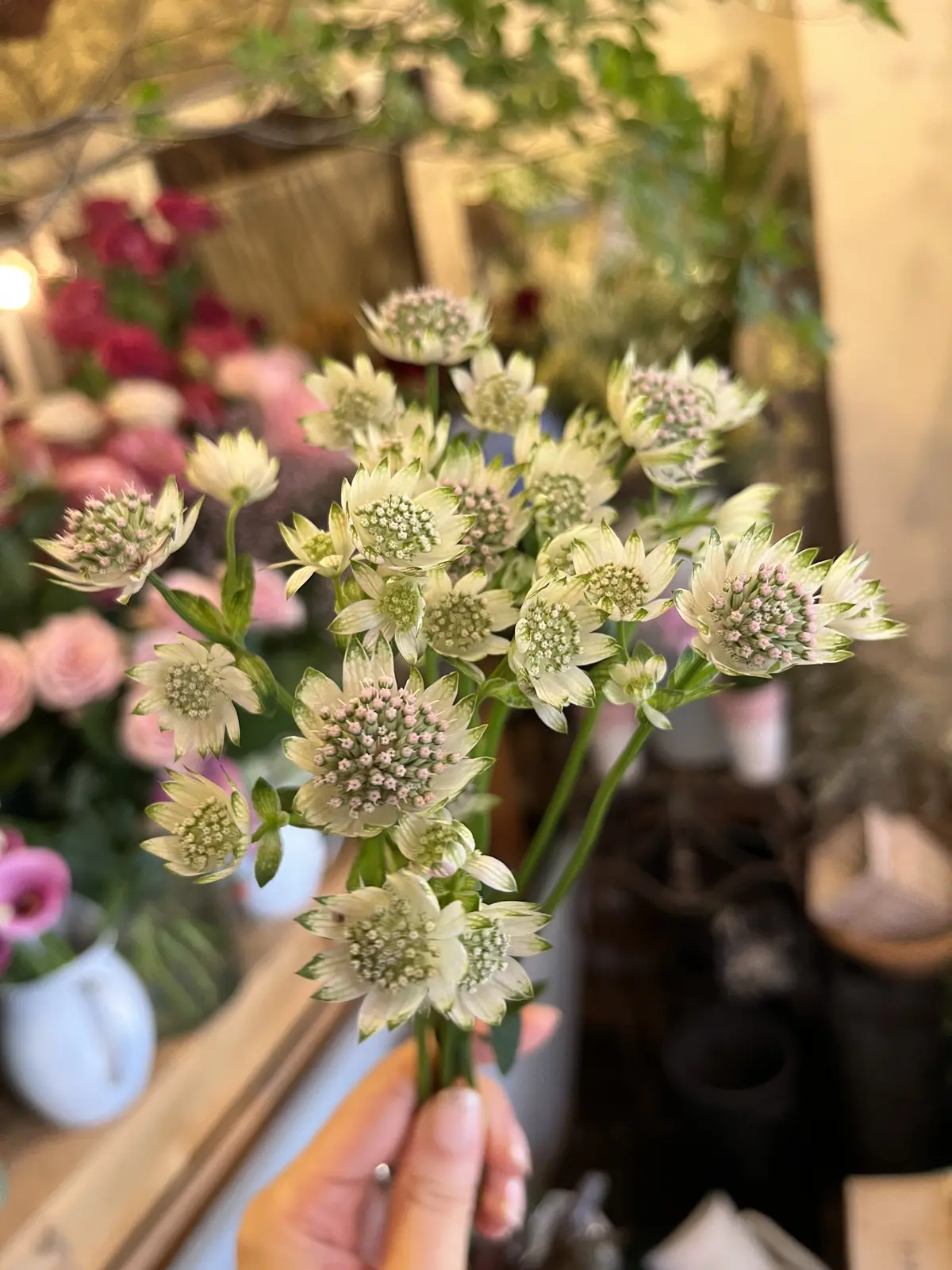 特別なブーケの画像_5