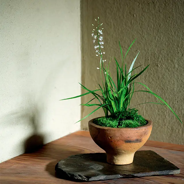 誂えの花は自然の景色を切り取ったかのような寄せ植えや盛り花