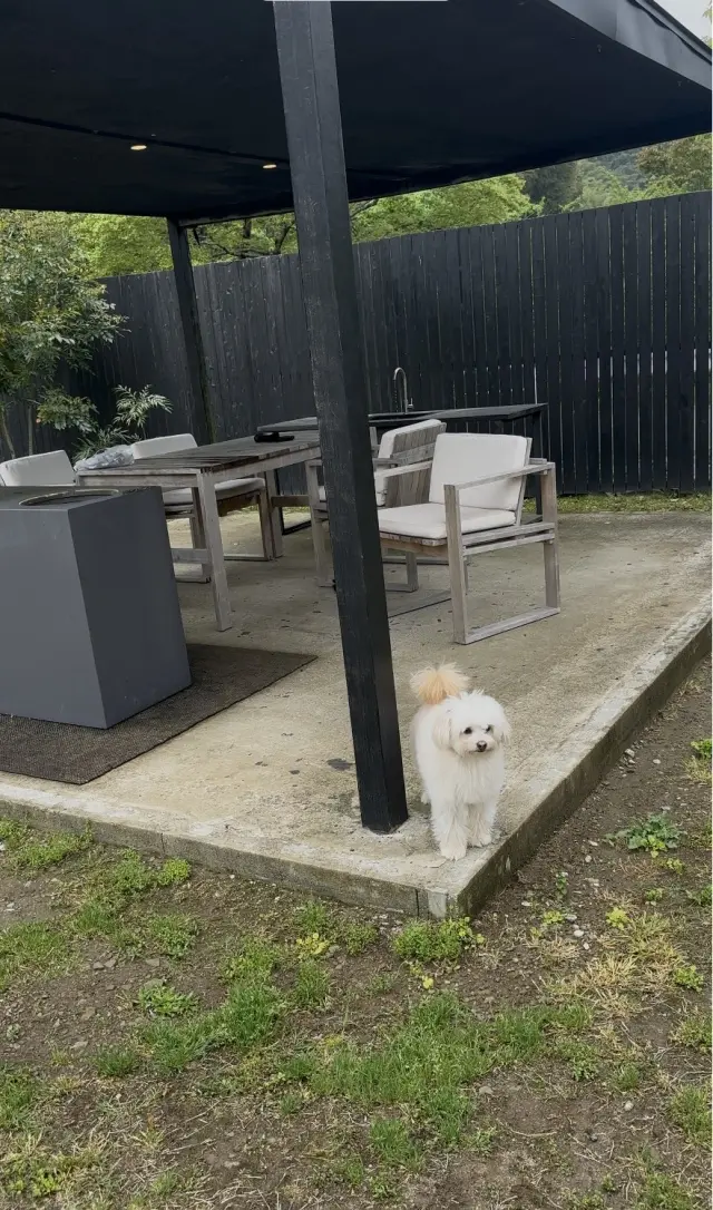 旅の3日目、THE LAKOTANへ。の画像_12