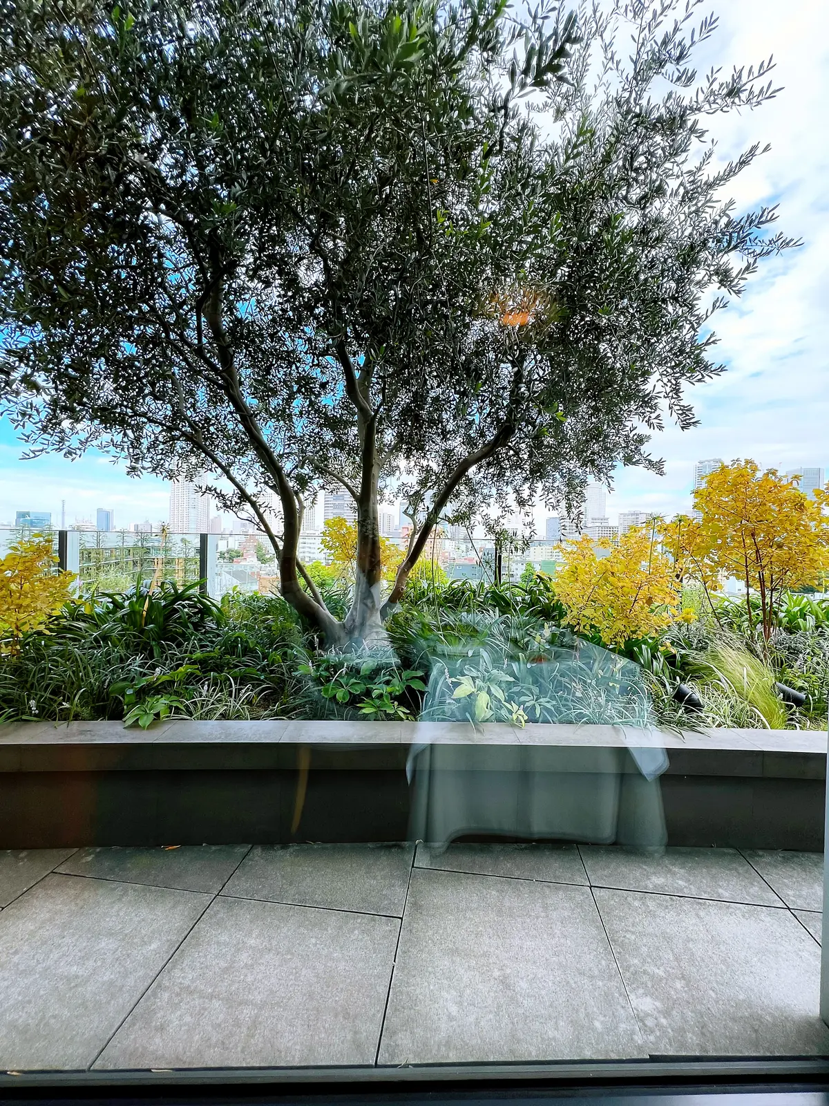 秋コーデで六本木ランチへ‼︎の画像_1