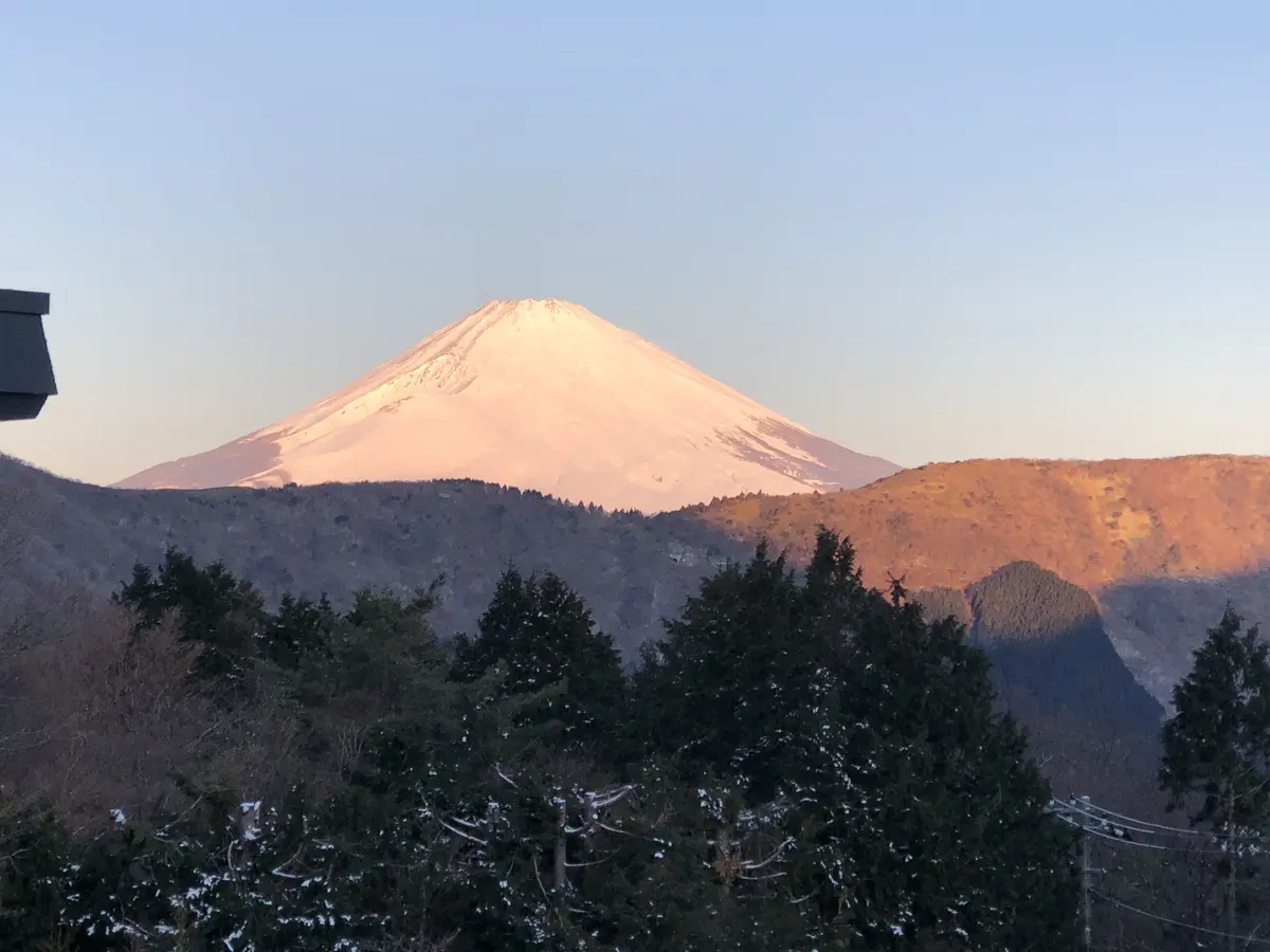 箱根へ、リフレッシュの旅の画像_7