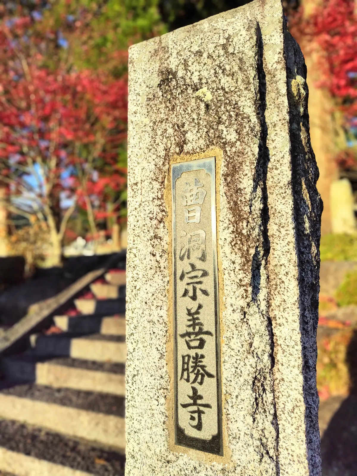 母の待つ里　ロケ地　善勝寺