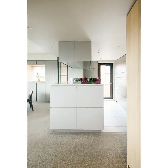 玄関を入ると正面にキッチンが。高さ1.15m のカウンターのおかげで、雑多なものが見えずすっきり。吊り戸棚は使いやすいようダイニング、キッチンの両側に収納を設け、奥行きは浅めに。カウンター下の玄関とダイニング側部分はオーク材を浮造りした木目にグレージュの塗装を施した、柔らかさと表情のある面材を選んだ