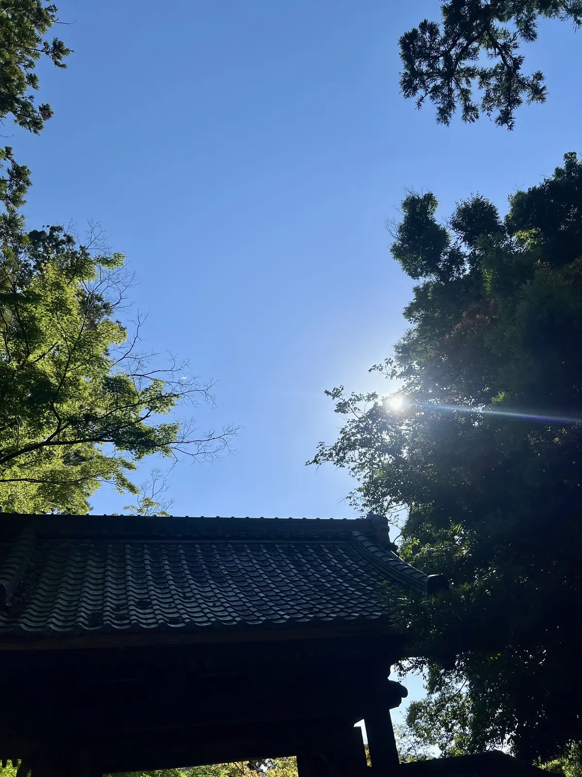 鎌倉円覚寺の風鈴棚に癒される夏🎐の画像_1