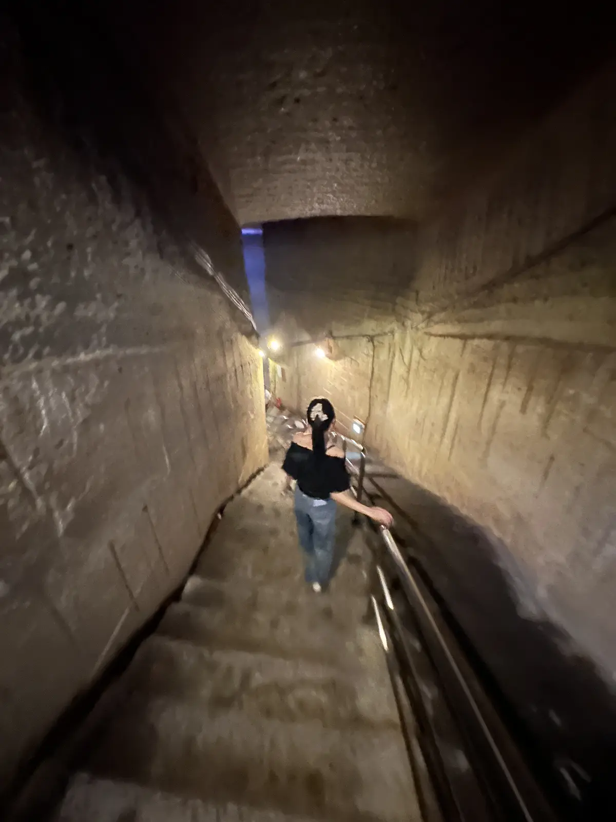 親子三代で行くはとバスツアーと真夏の高尾の画像_4